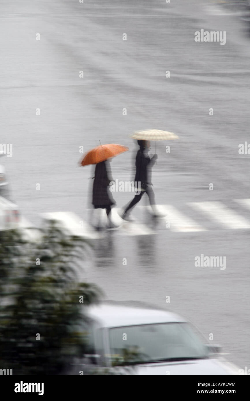 people with umbrellas crossing road in rain Stock Photo - Alamy