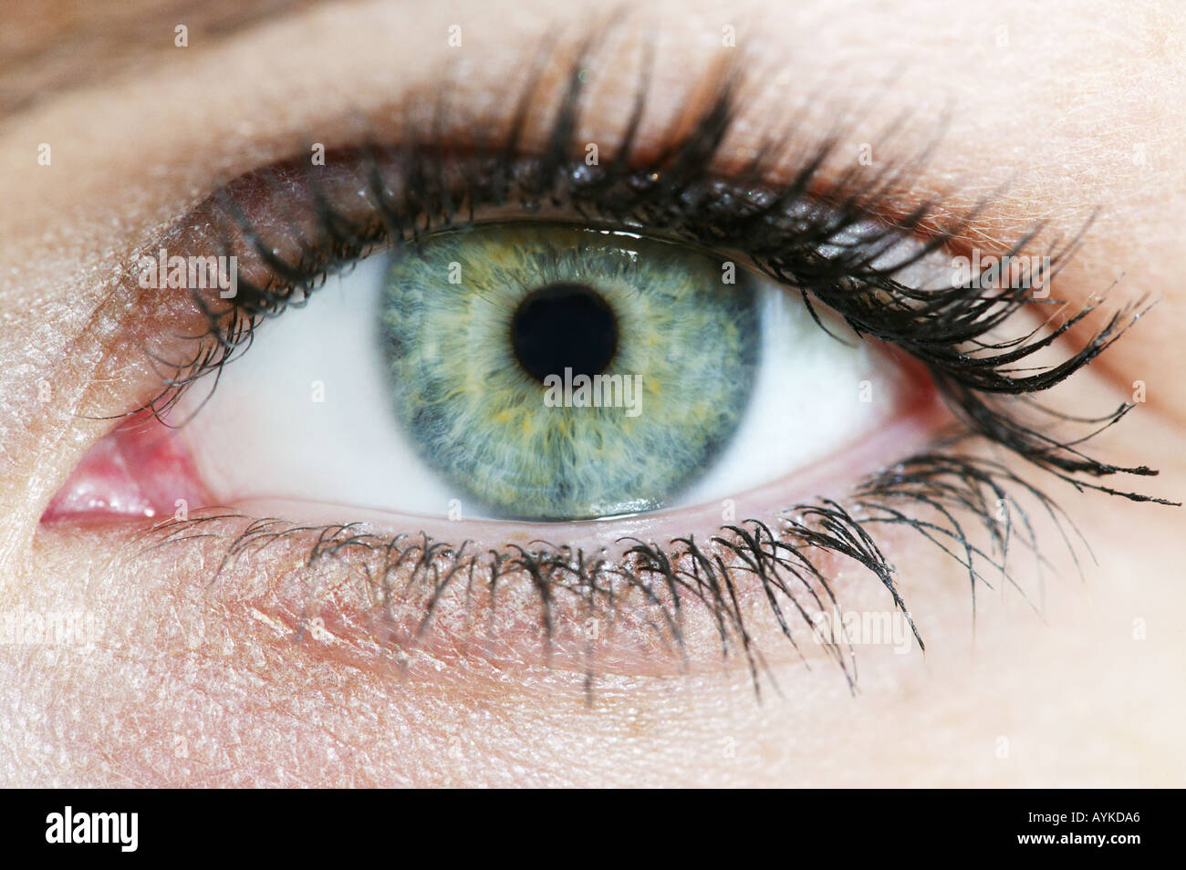 Eye iris hi-res stock photography and images - Alamy