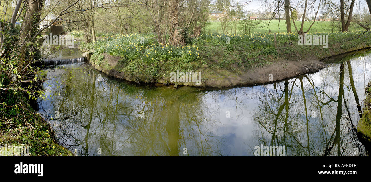 The banks of a river with bushes and trees Stock Photo - Alamy