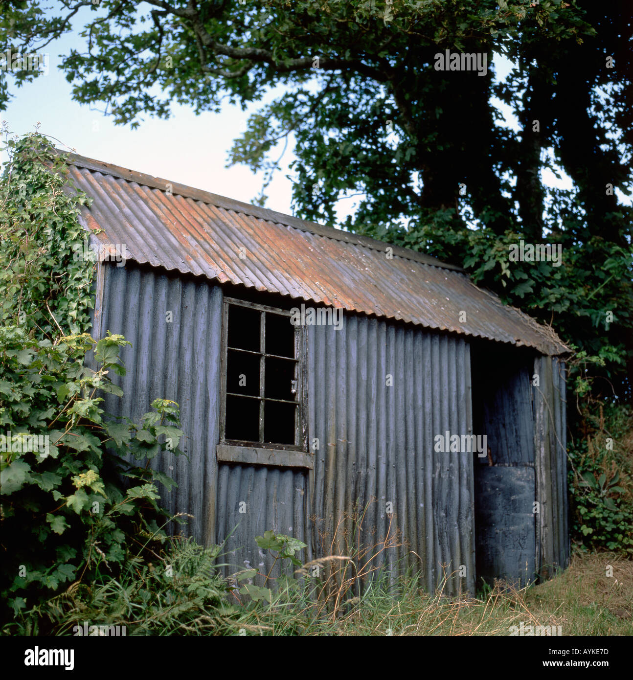 Tin shed Llanstephan Carmarthenshire Wales UK Stock Photo Alamy
