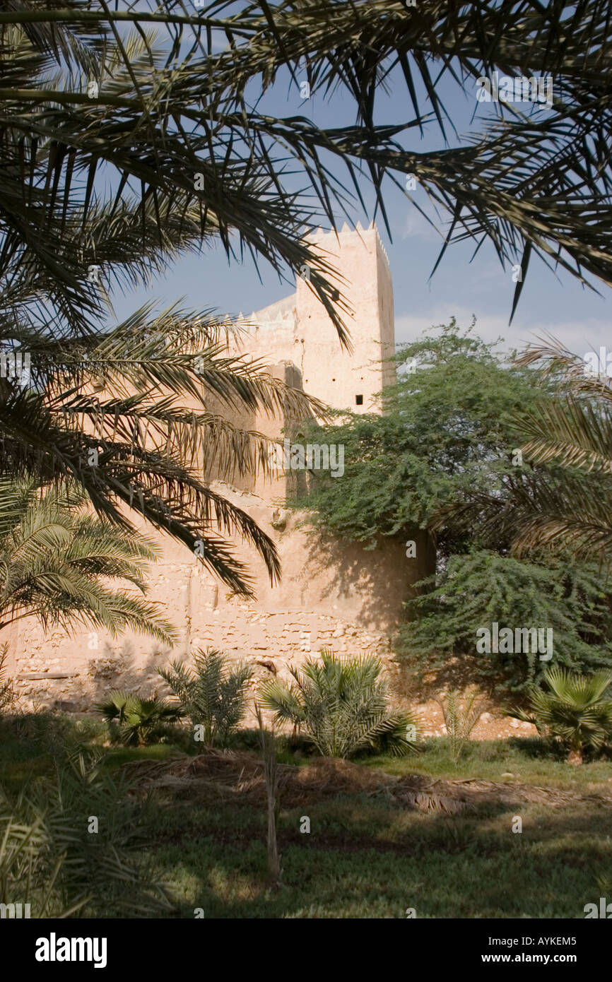 oasis in qatar Stock Photo