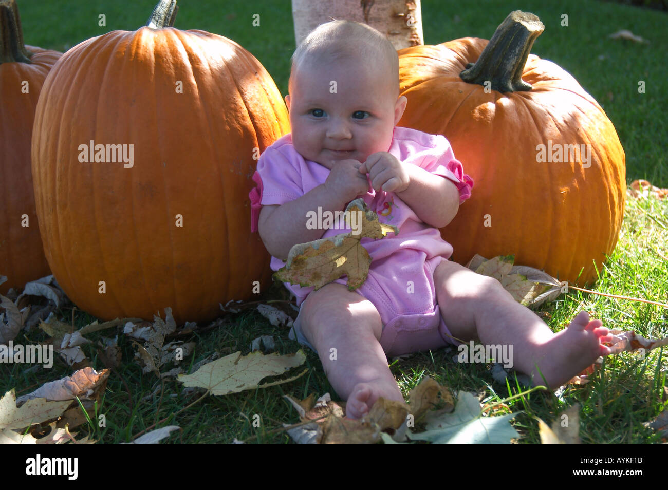 autumn baby Stock Photo