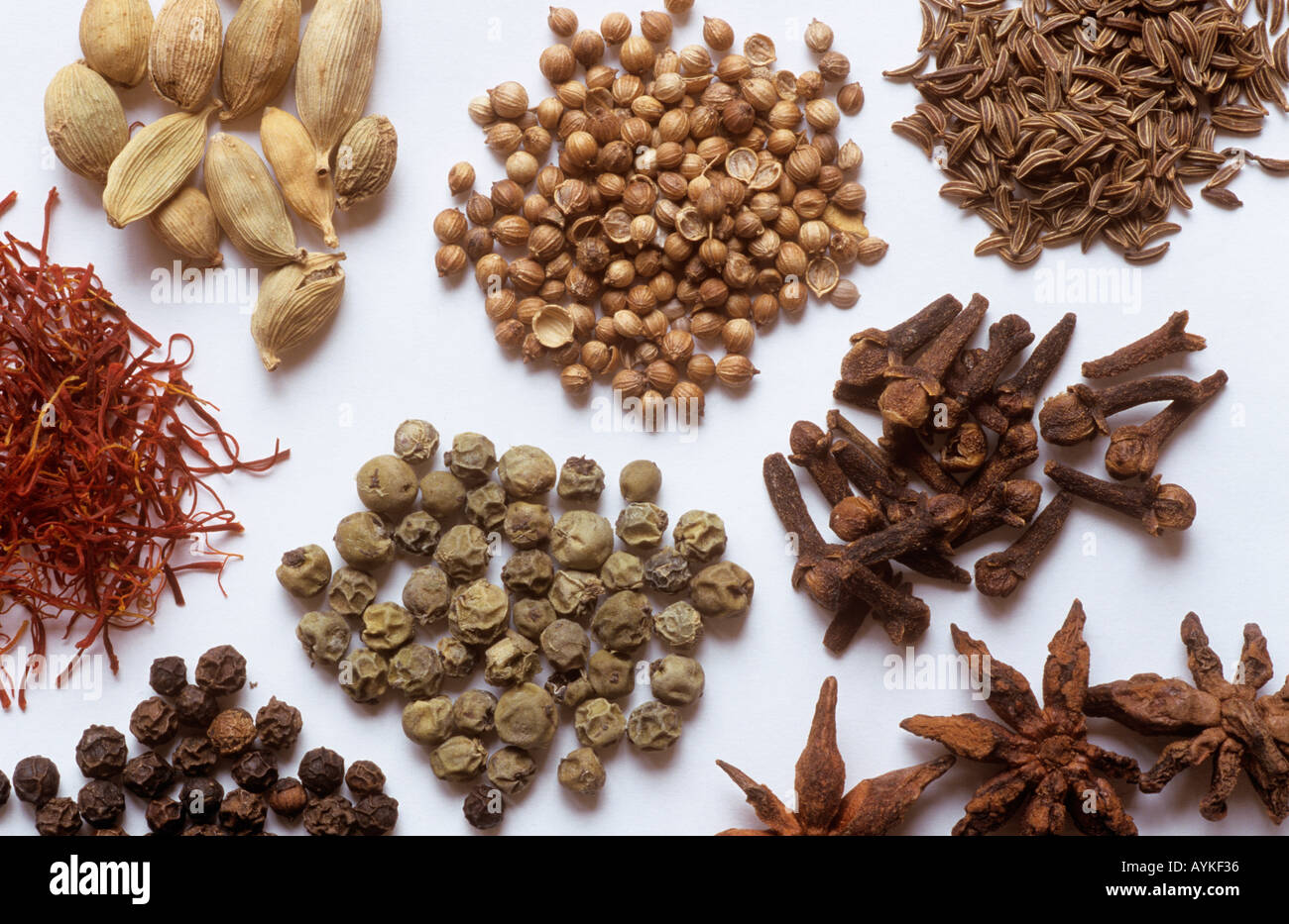 Spices on white background Stock Photo