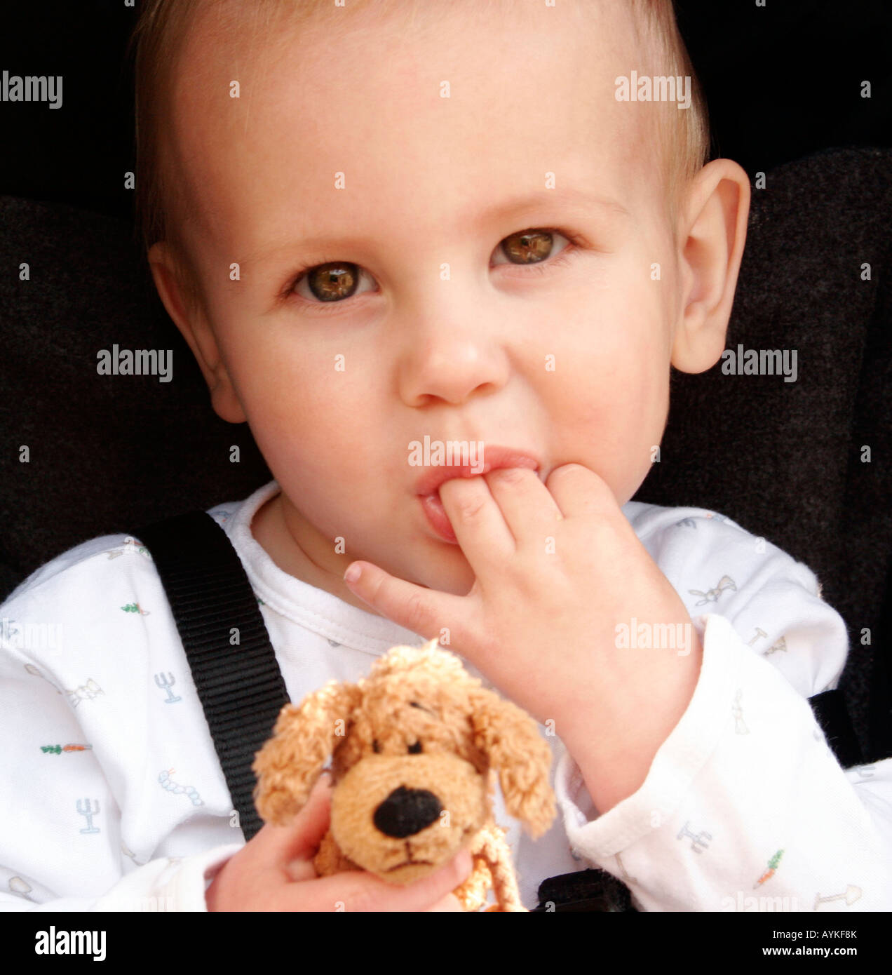 Baby strapped in pushchair, holding a cuddly toy and sucking its