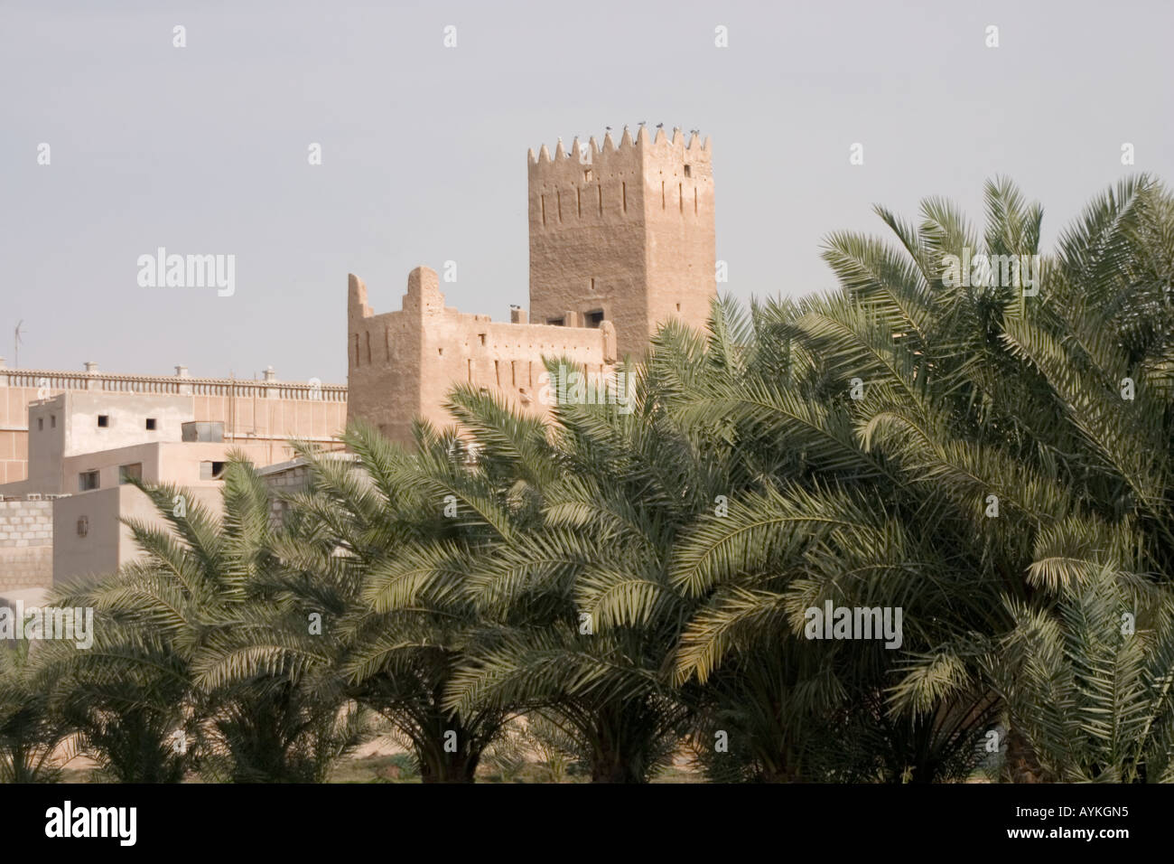 oasis in qatar Stock Photo