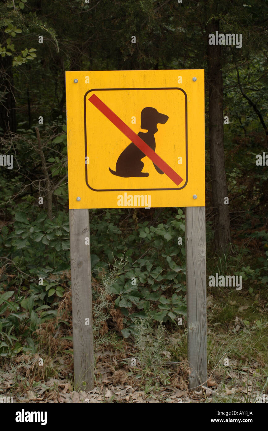 No dogs Sign Stock Photo Alamy