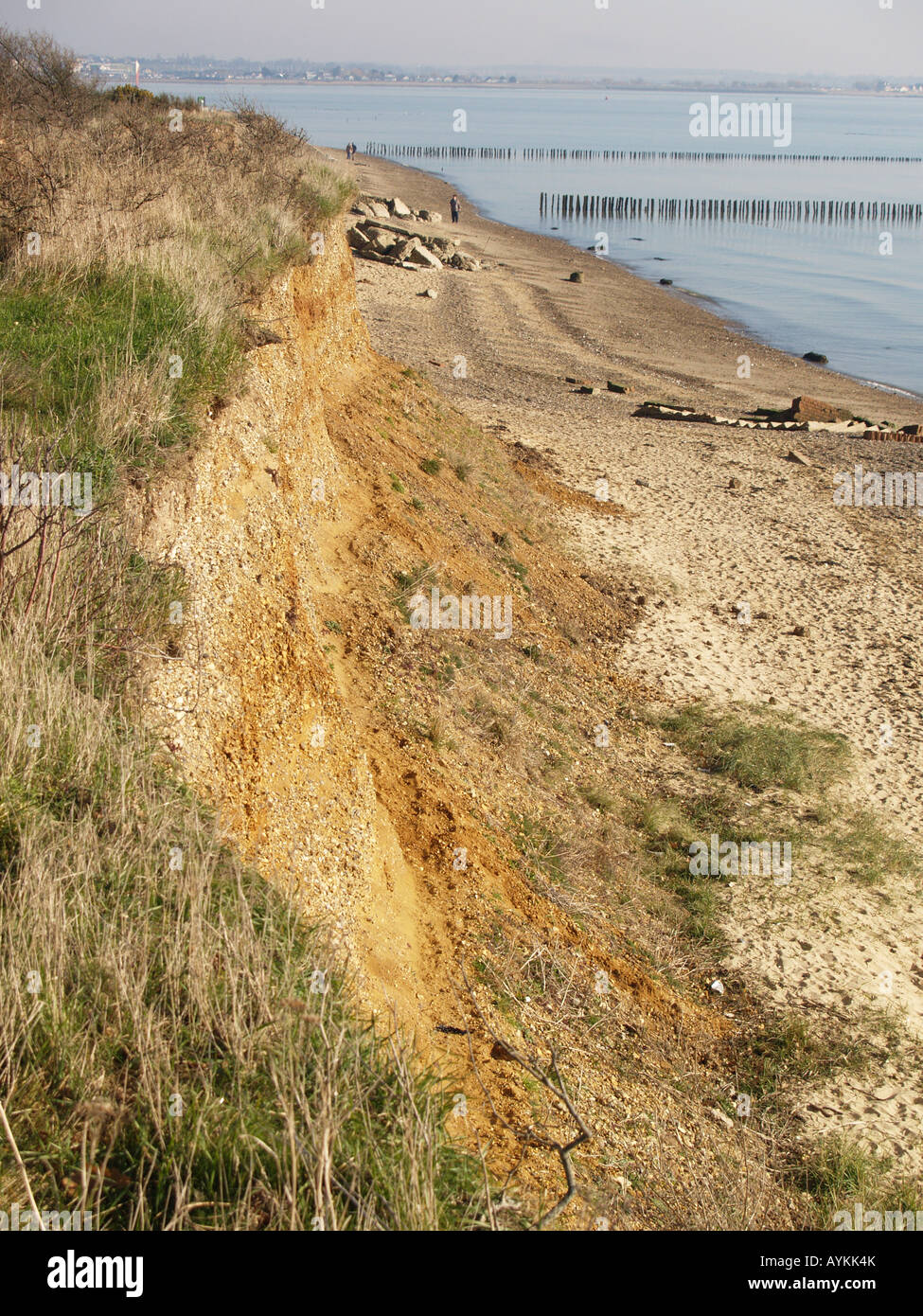 eroded beach cliff field edge sea erosion defence Stock Photo