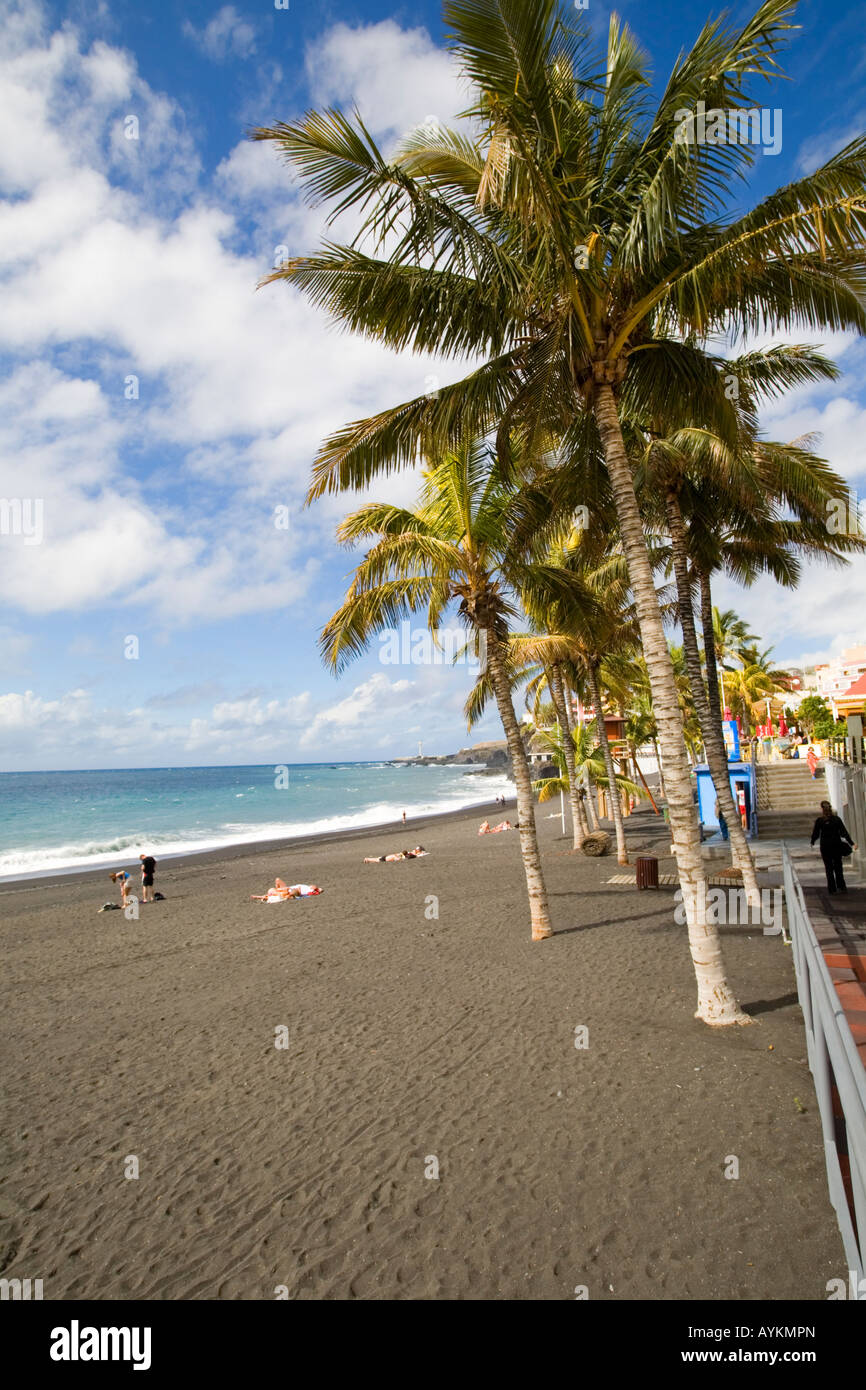 Palms and Black Beach at Puerto Naos Stock Photo
