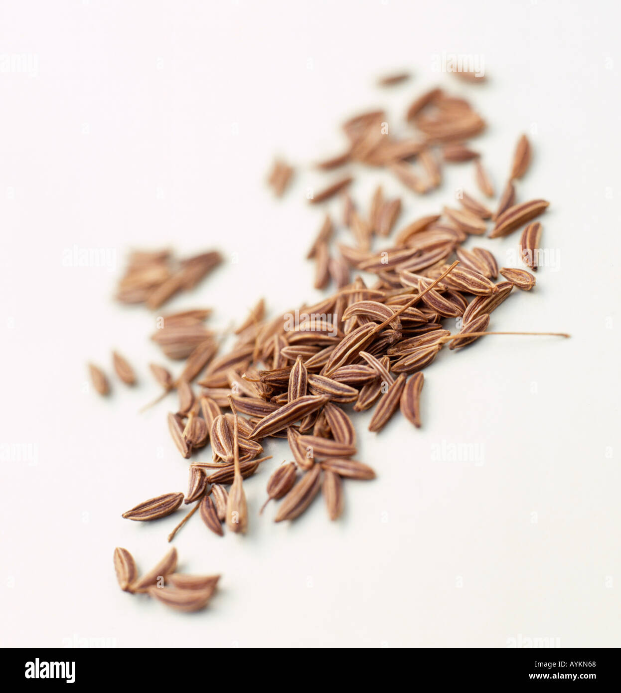Caraway seeds Stock Photo