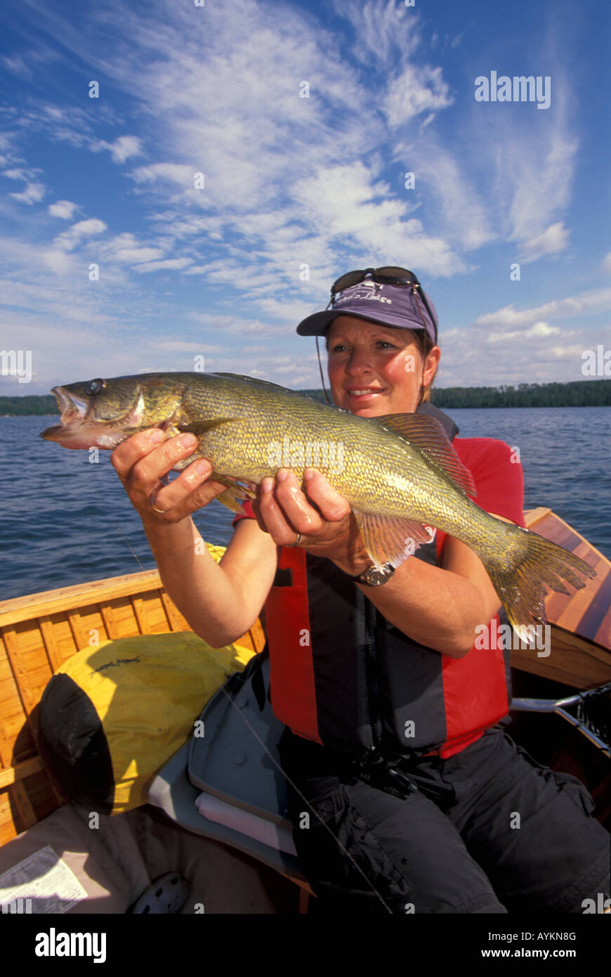 Walleye hi-res stock photography and images - Alamy