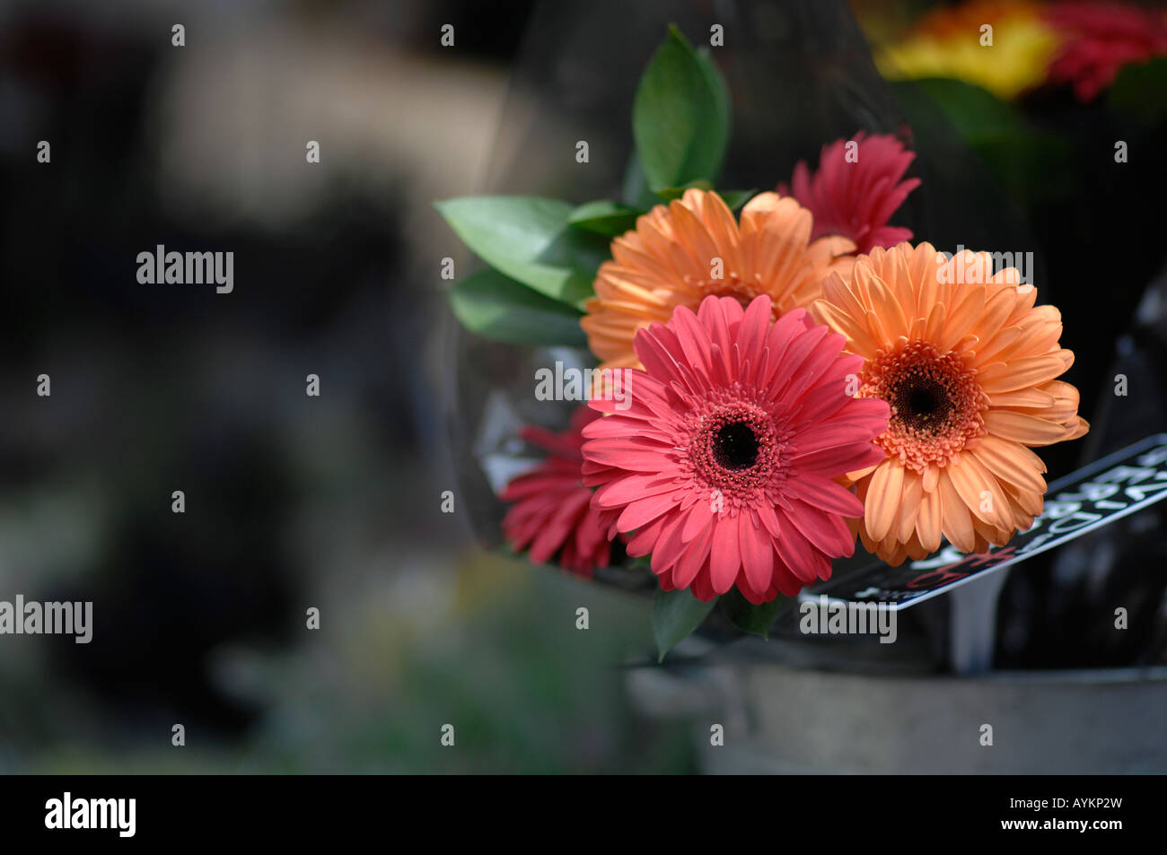 Charing Cross station, London florist Stock Photo Alamy