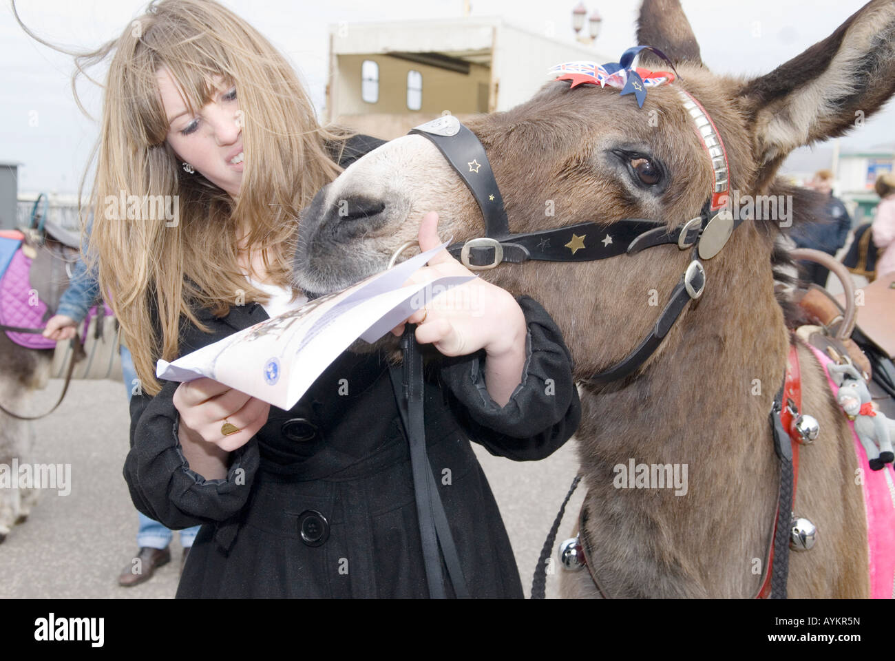 Girl with donkey eating documents Stock Photo Alamy