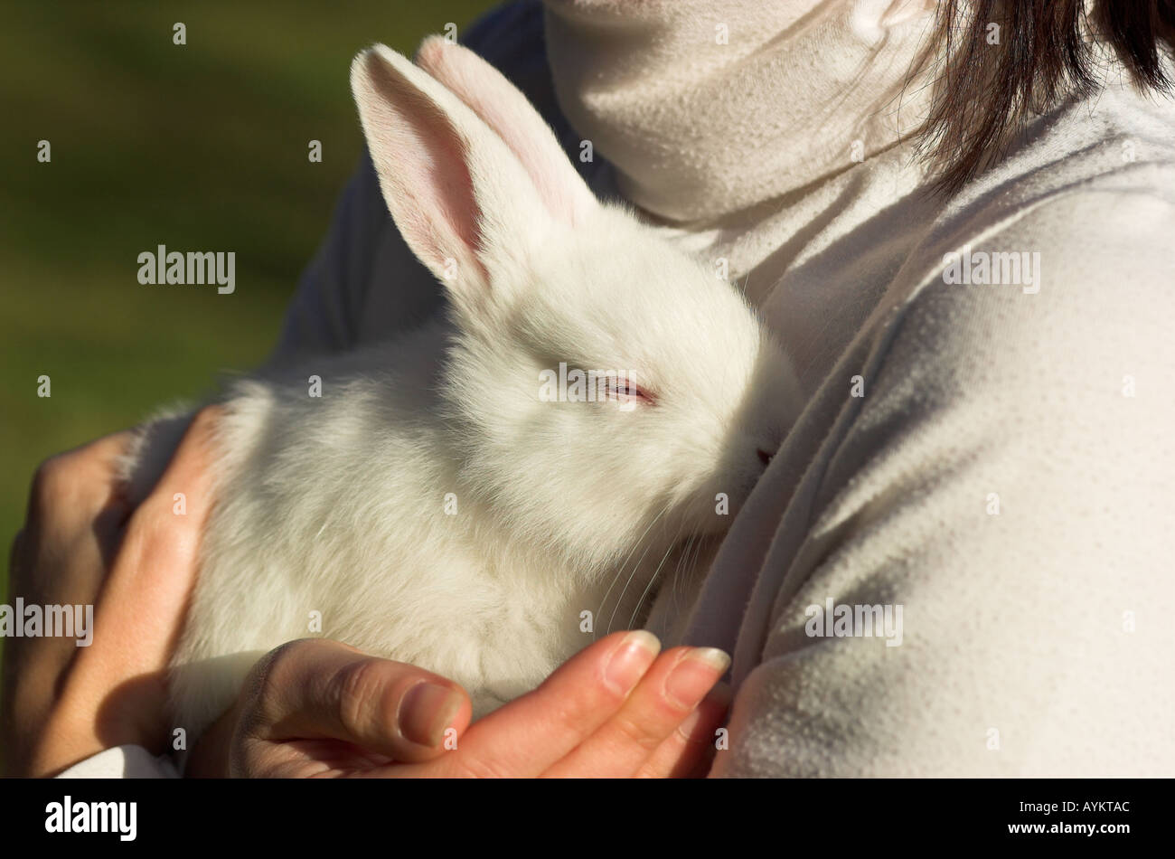 Woman hugging rabbit hi-res stock photography and images - Alamy