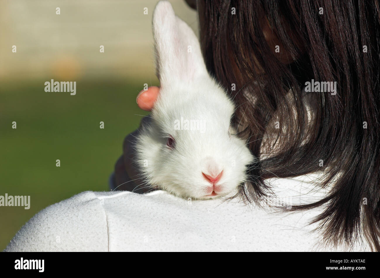 Woman hugging rabbit hi-res stock photography and images - Alamy