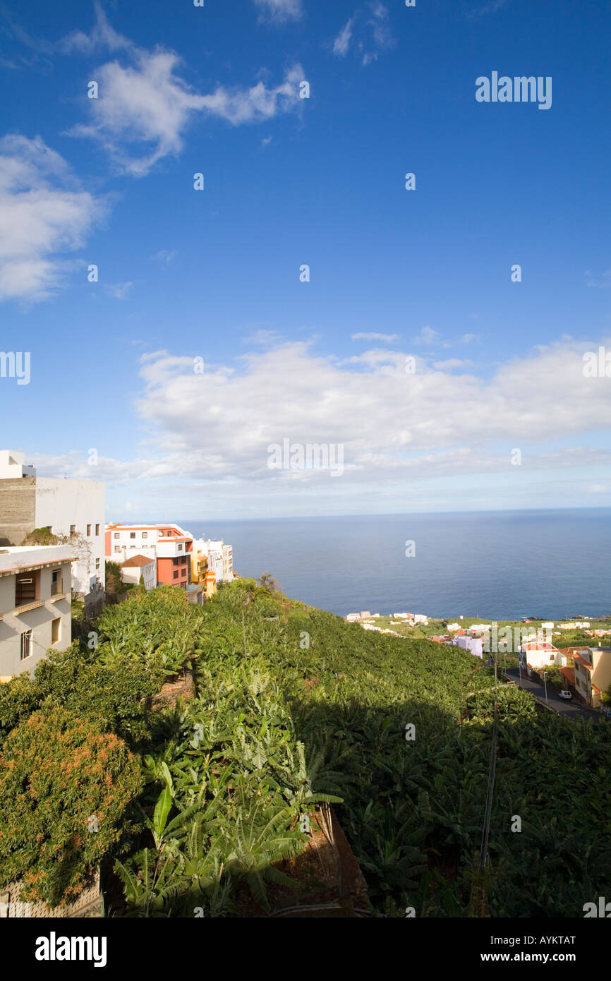 View over Banana plantation towards the Ocean Stock Photo