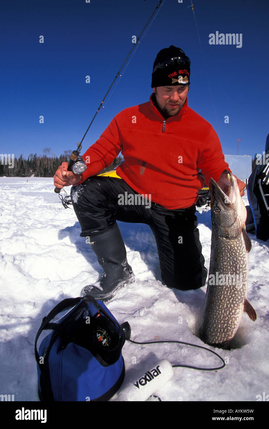 man catches big pike ice fishing Stock Photo Alamy