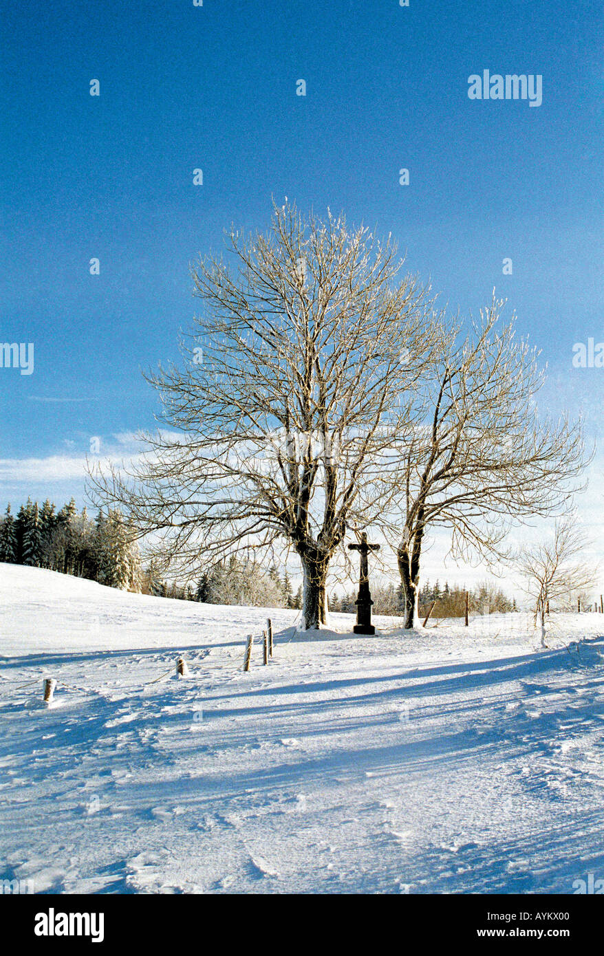 Ein Wegkreuz unter kahlen Baeumen im Winter Tschechien Stock Photo