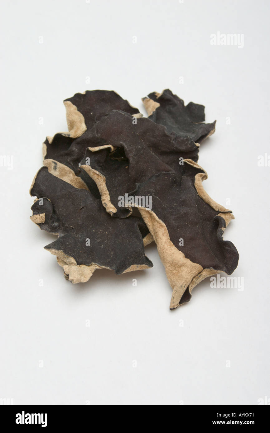 closeup of dried wood ear fungus used in chinese cooking Stock Photo