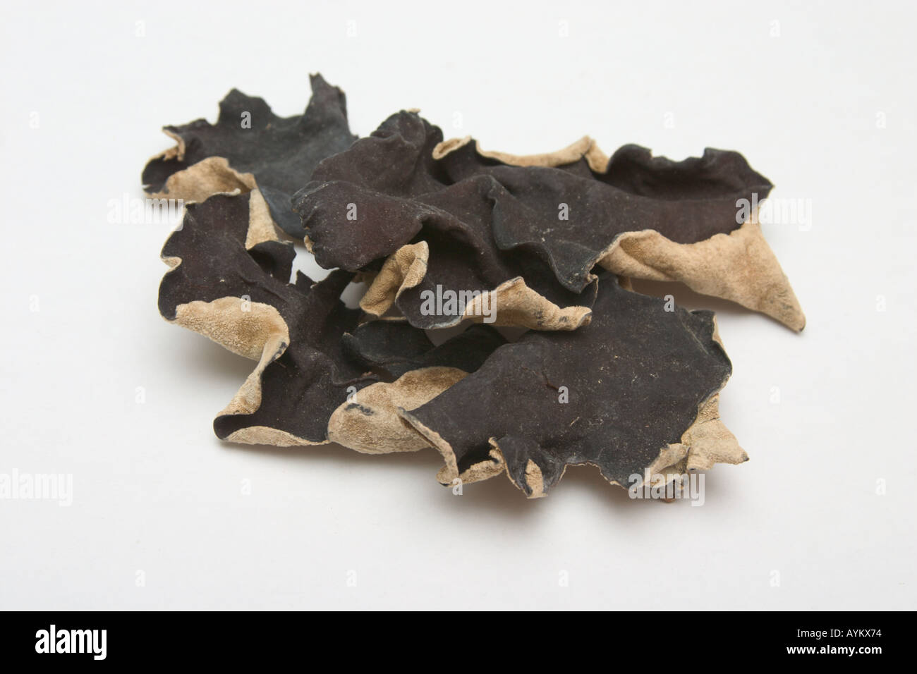 closeup of dried wood ear fungus used in chinese cooking Stock Photo