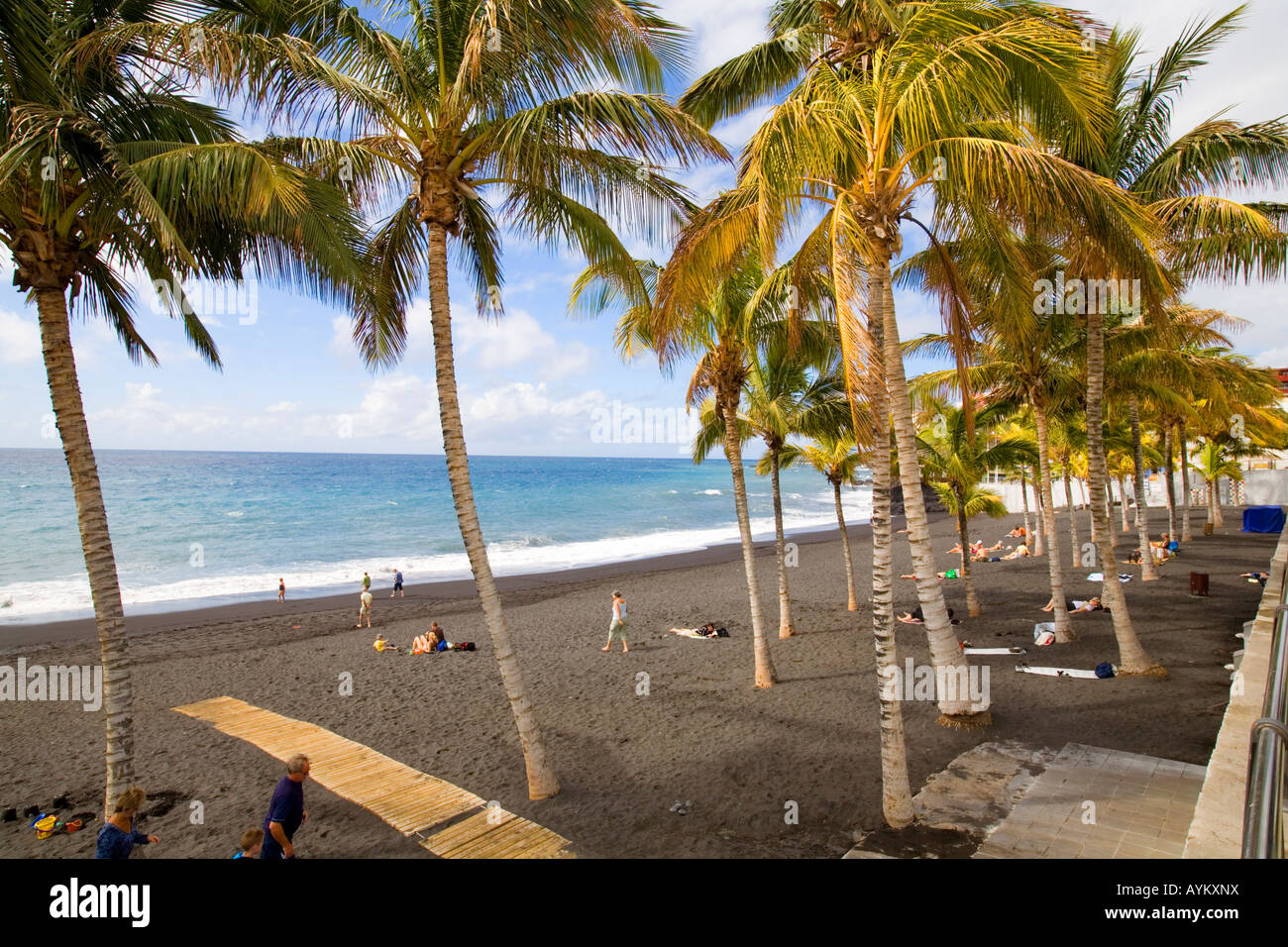 Palms and Black Beach at Puerto Naos Stock Photo