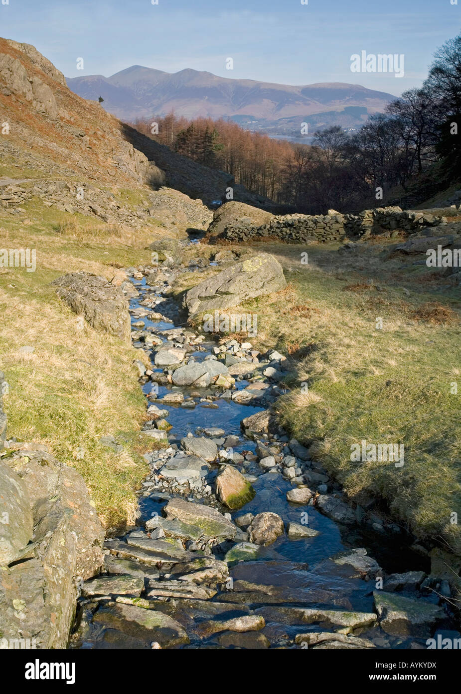 Sunny Winters Day view Broadslack Gill and Beck below Castle Crag on the Allerdale route distant SkiddawRosthwaite Borrowdale Stock Photo