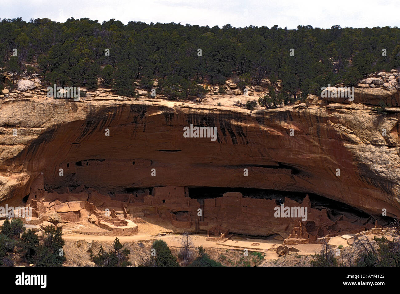 Mesa Verde National Park Colorado Long House ruins Stock Photo - Alamy