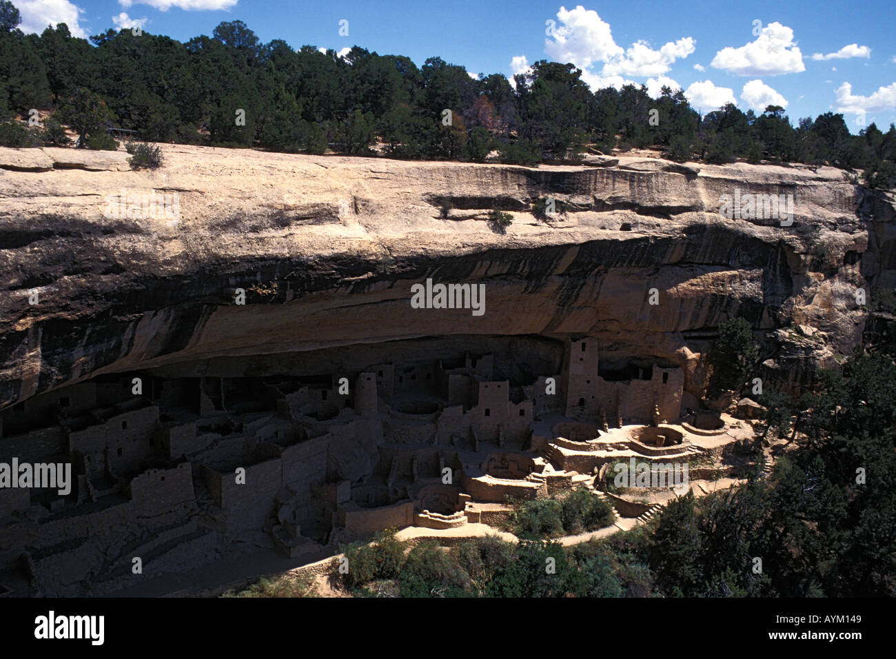 Mesa Verde National Park Colorado Cliff Palace ruins Stock Photo - Alamy