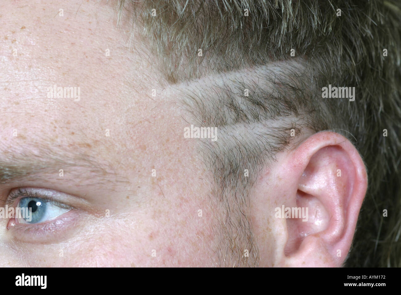 Are Eyebrow shaved lines can help Very valuable Eyebrow shaved lines