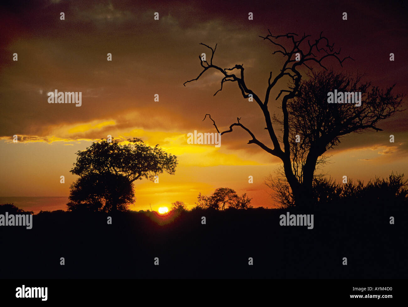 Sunset tranquil south africa hi-res stock photography and images - Alamy