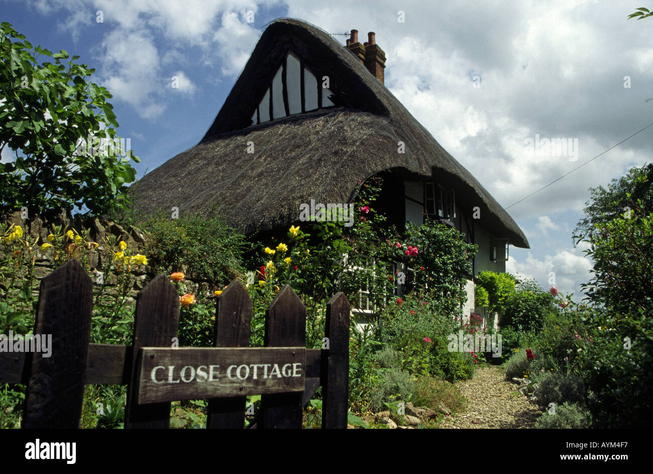 Thatched Cottage with pretty garden Didcot Oxfordshire England Stock Photo Alamy