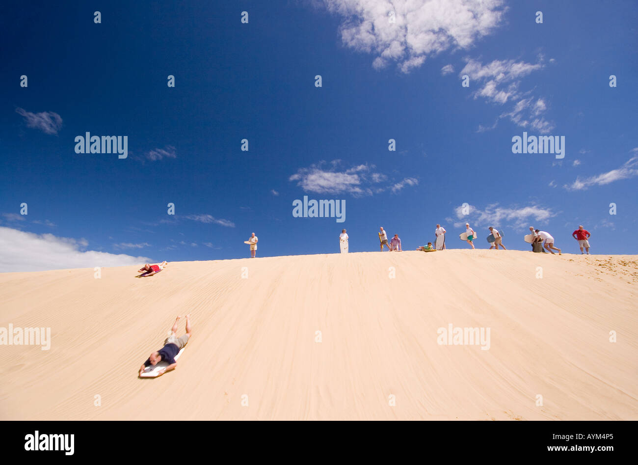 sand surfers on dunes behind ninety mile beach new zealand Stock Photo