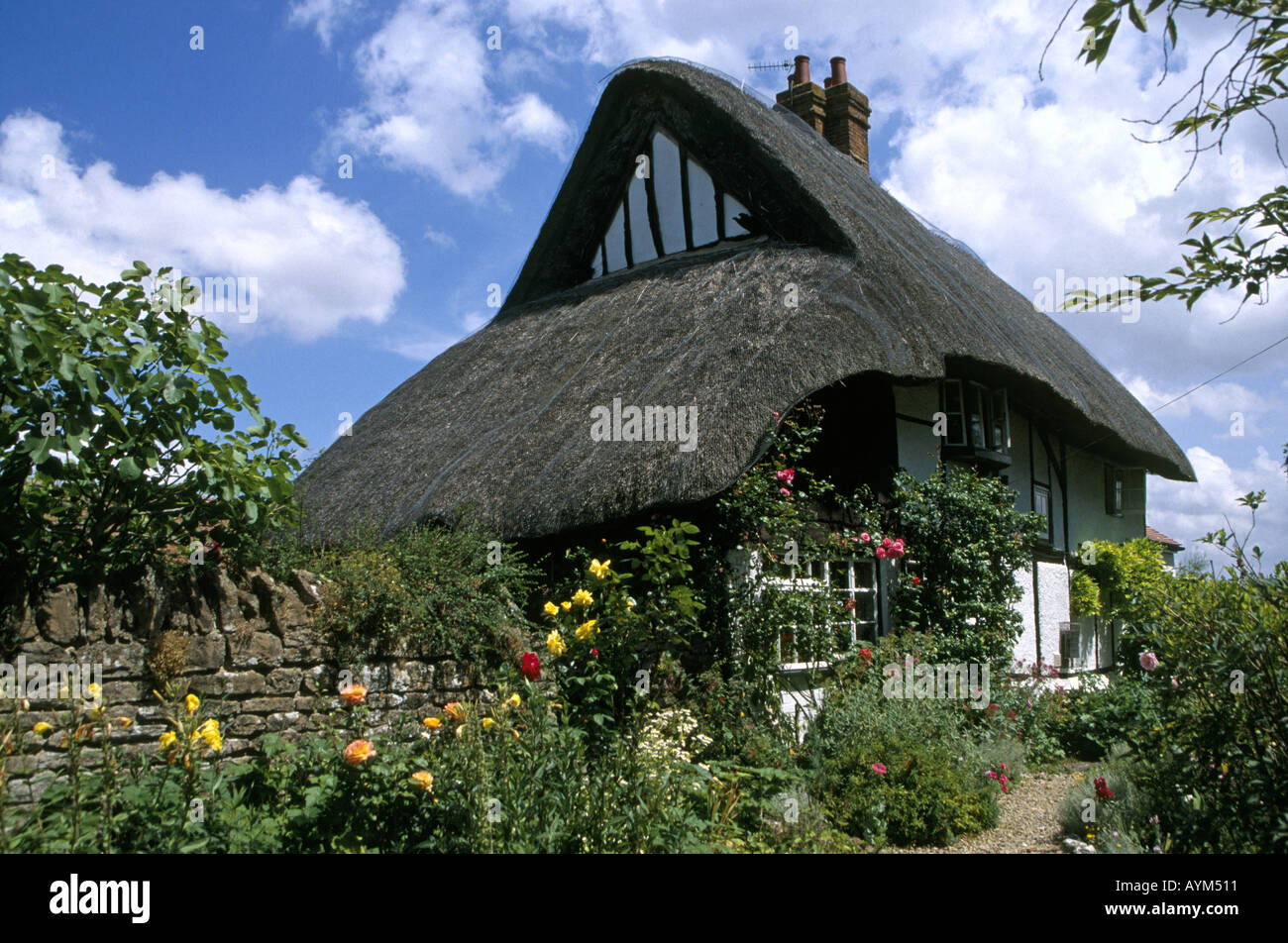 Thatched Cottage with pretty garden Didcot Oxfordshire England Stock Photo Alamy