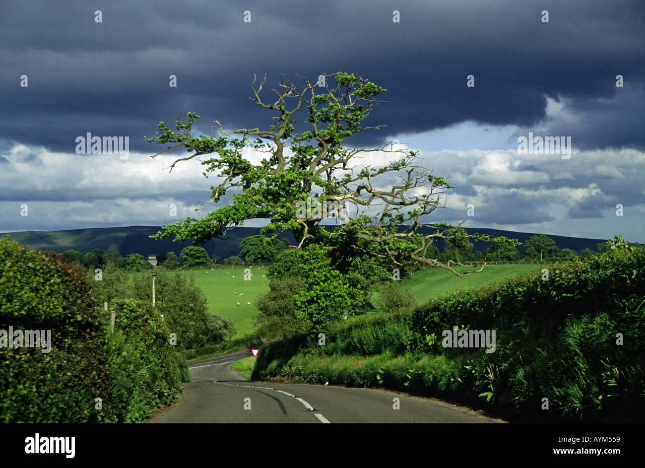 Country Road under stormy clouds Shropshire England UK Stock Photo - Alamy