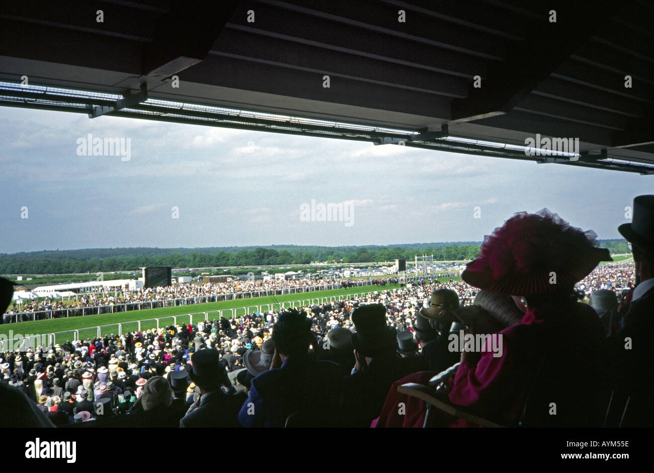 Royal Ascot Racecourse stands view Berkshire England UK Stock Photo