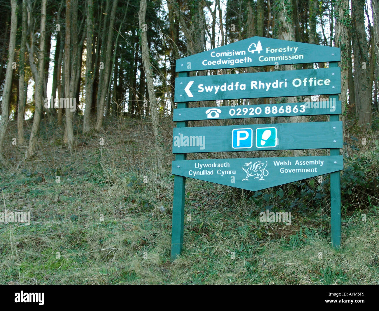 Forestry Commission sign near Rudry South Wales UK 2005 Stock Photo Alamy