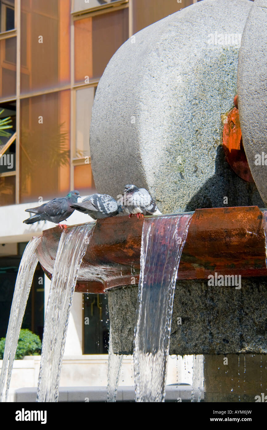 Kolodrob fountain on Ivan Kobler square with several pigeons drinking water, Rijeka in Croatia Stock Photo