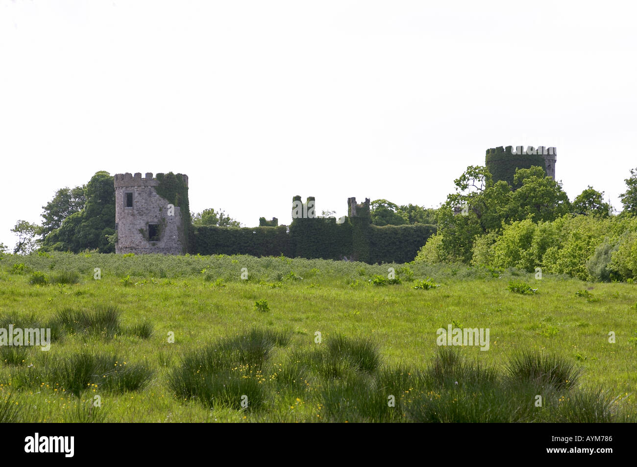 Dromagh Castle former seat of Leader family near Banteer Co Cork