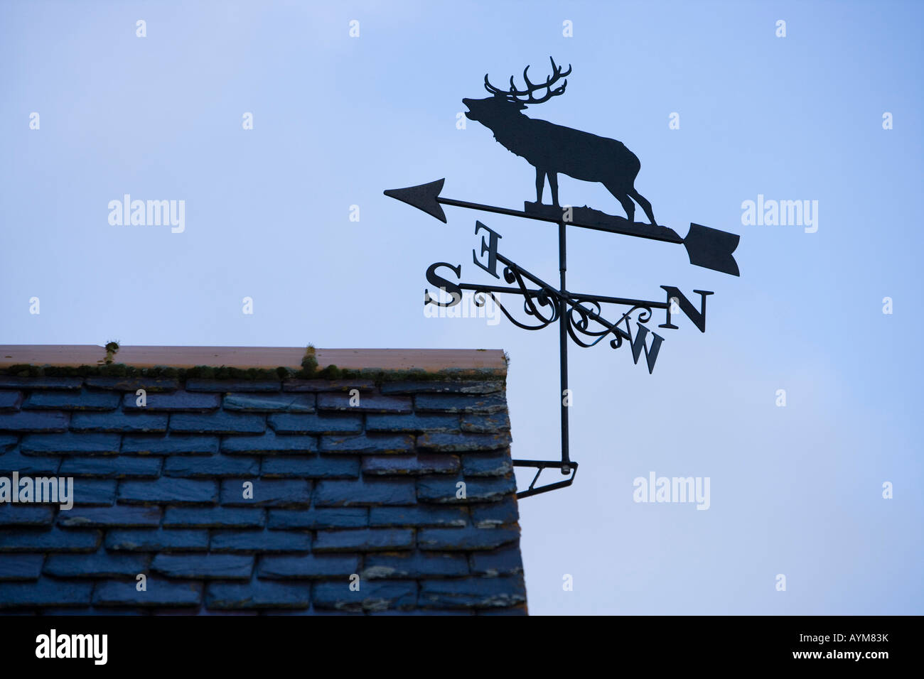Deer in Rut Silhouette Steel Weathervane main image 1
