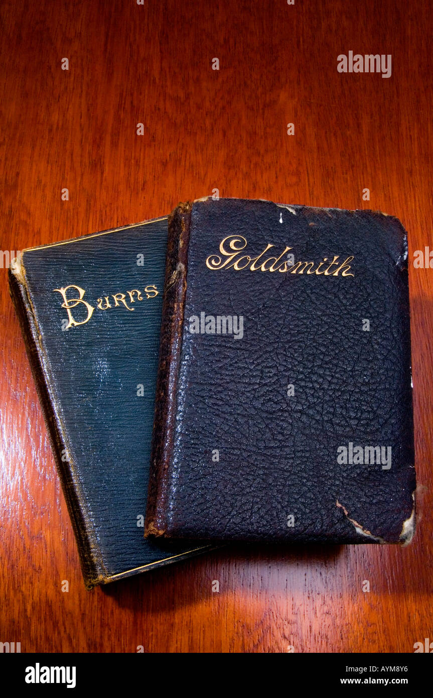 https://c8.alamy.com/comp/AYM8Y6/distressed-with-age-leatherbound-copies-of-two-authors-in-english-AYM8Y6.jpg