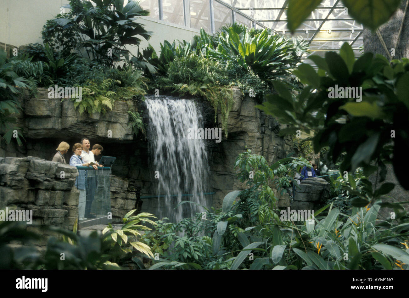 A waterfall in the Tropical Rainforest Ecosystem of the Montreal Biodome, Montreal, Quebec, Canada Stock Photo