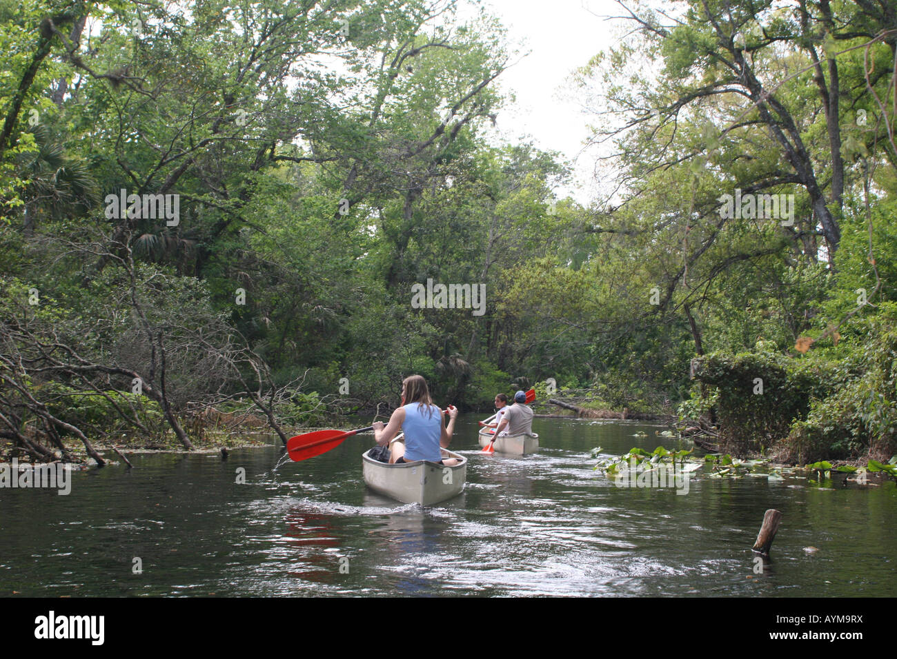 People canoeing in Wekiwa Springs State Park Apopka Florida Stock Photo