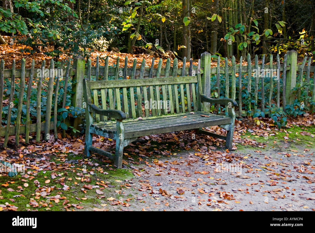 A weather worn wooden park bench in the Kenwood area of Hampstead Heath Stock Photo