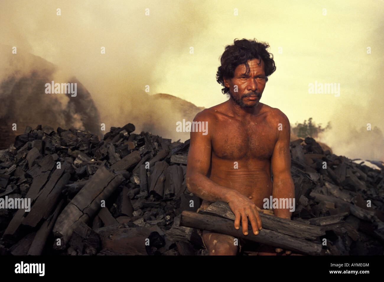 Worker portray charcoal production plant Brazil Mato Grosso do Sul State Stock Photo