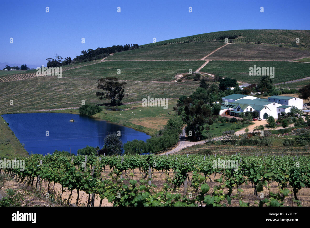 Jordan Wine High Resolution Stock Photography and Images - Alamy