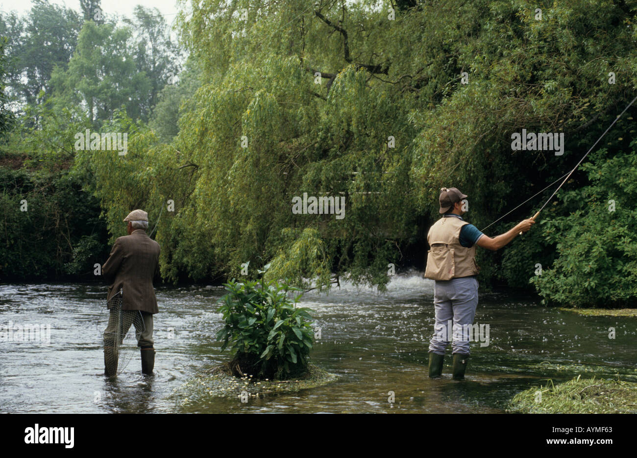 Fly Fishing on the River Test Hampshire southern England UK Stock Photo