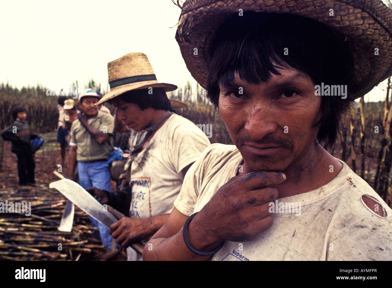 Biofuel production Guarani indigenous people working as sugarcane cutters ethanol plant Brazil Stock Photo