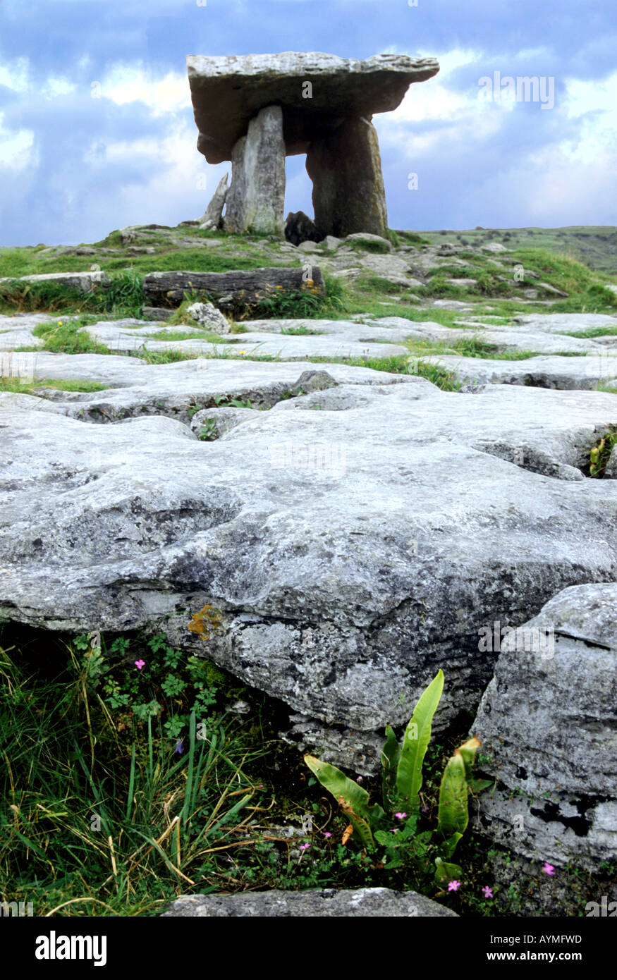 Poulnabrone Megalithic Tomb marks and ancient grave in the Burren, Ireland Stock Photo