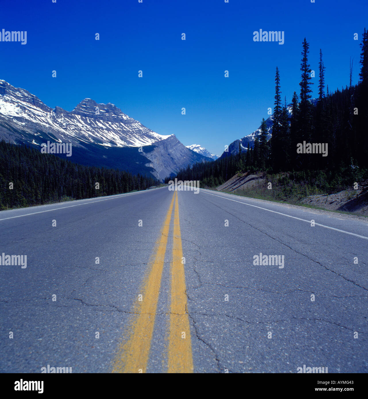 My Image 30