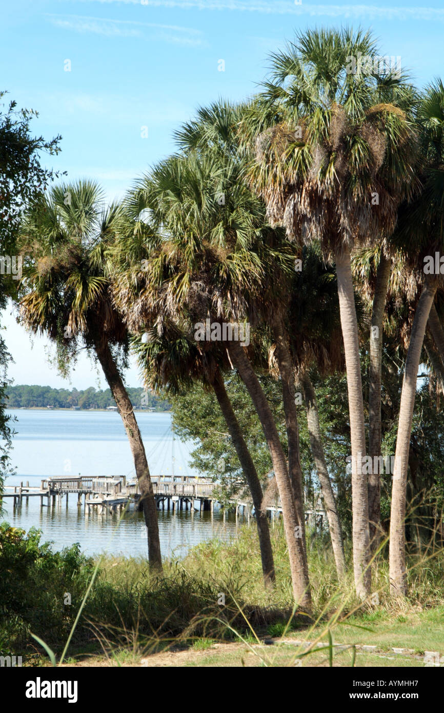 Lake Dora central Florida USA. Mount Dora.Palm trees line the waterside