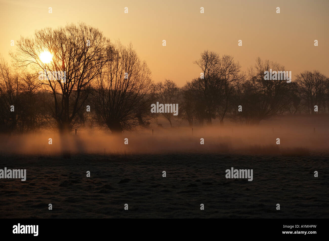 Redgrave and Lopham Fen dawn. Stock Photo